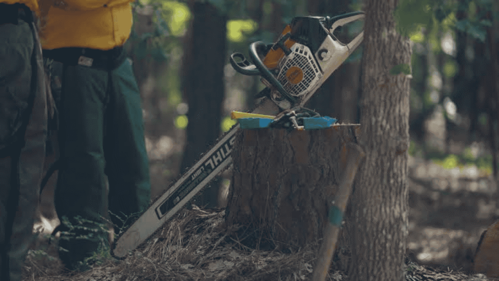 Inside the 7th Annual Cohesive Wildland Fire Workshop