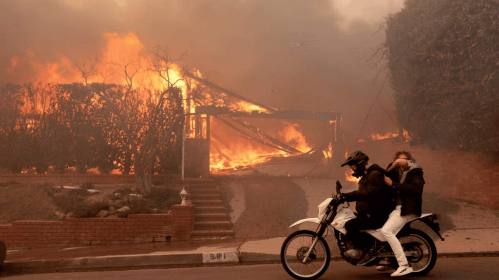 The Economic Cost of Wildfires and Why Prevention Saves Billions