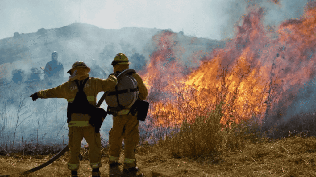 Wildland vs Structural Fires