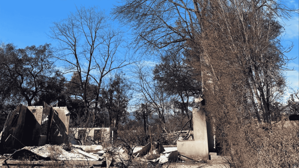 Wildfire Recovery and Resilience Planning for Affected Communities